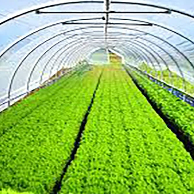 Medicinal Greenhouse